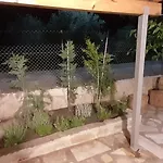 Ktima Rodies In Neochori Zacharo