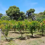 Ktima Rodies In Neochori Zacharo Tatil Evi Neochori (Zacharo)