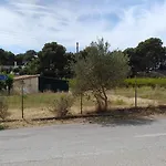 Ktima Rodies In Neochori Zacharo Neochori (Zacharo)