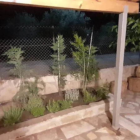 Ktima Rodies In Neochori Zacharo