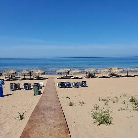 Ktima Rodies In Neochori Zacharo *