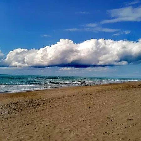 Ktima Rodies In Neochori Zacharo