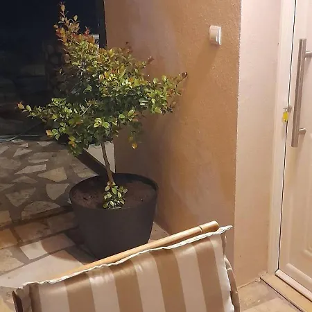 Ktima Rodies In Neochori Zacharo *