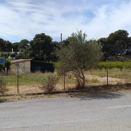 Ktima Rodies In Neochori Zacharo Neochori (Zacharo)