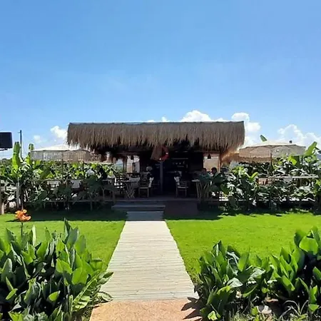 Ktima Rodies In Neochori Zacharo Semesterbostad *