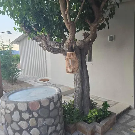 Ktima Rodies In Neochori Zacharo *