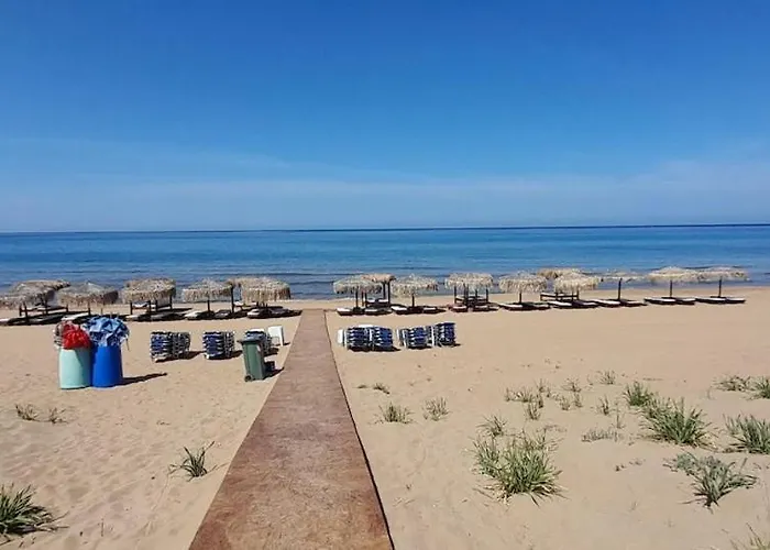 Ktima Rodies In Neochori Zacharo *