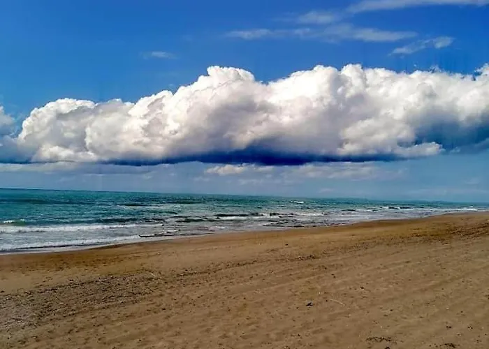 Ktima Rodies In Neochori Zacharo