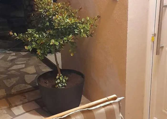 Ktima Rodies In Neochori Zacharo *